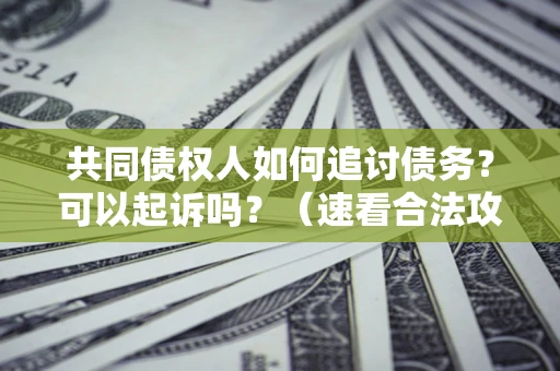 北京共同债权人如何追讨债务？可以起诉吗？（速看合法攻略）
